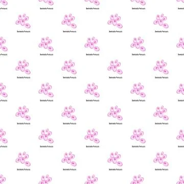 Bordetella pertussis pattern seamless Illustrazione stock