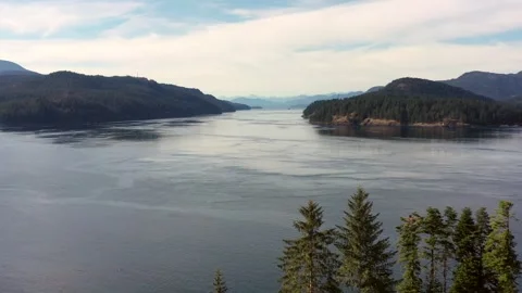 Boreal Elevation: A Bird's Eye View of Campbell River Stock Footage 246364968