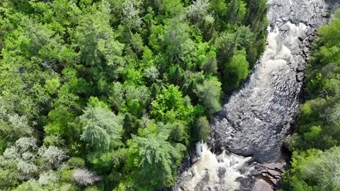 Boreal forest and waterfall, Flight over the waterfall in spring, Region of La Stock Footage 310912418
