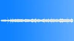 Boreal Forest Atmosphere Woodland Sound Effect