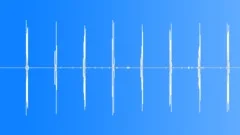 Boreal Forest Lake Ambient Soudscape Early Spring Sound Effect