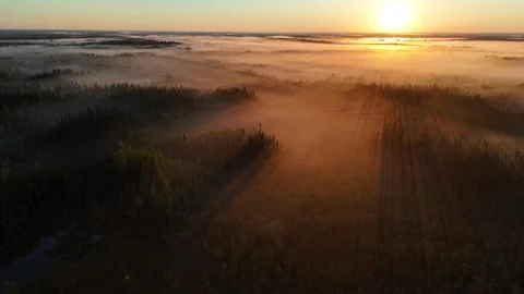 Boreal Forest Mist Canadian Shield Northern Manitoba Sunrise Aerial Drone Orbit Stock Footage 333059180