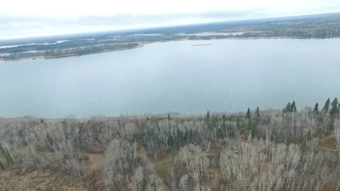 Boreal Forest of Northern Saskatchewan Stock Footage 255068888