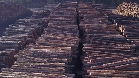 Boreal forest trees stacked neatly in log yard of logging industry mill Stock Footage 319082574