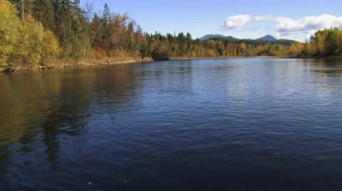 The boreal river flowing through vast expanses of taiga forests. Stock Footage 8960701