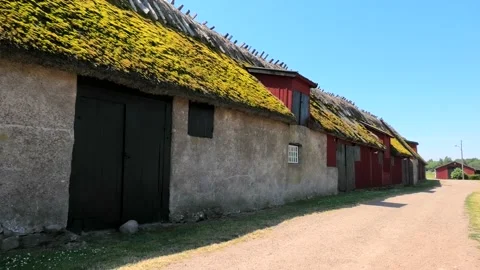 Borgs by, Gråborg, Öland, Sweden Video stock 219618992