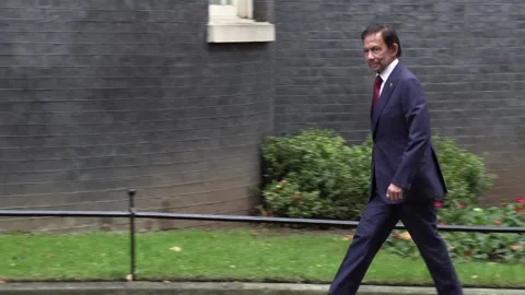 Boris Johnson welcomes Sultan of Brunei to Downing Street Stock Footage 166287340