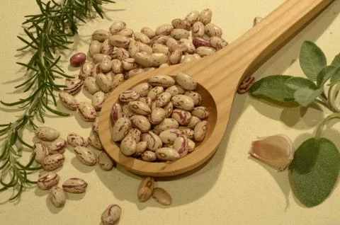 Borlotti beans Stock Photos