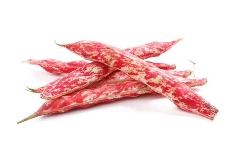 Borlotti beans Stock Photos