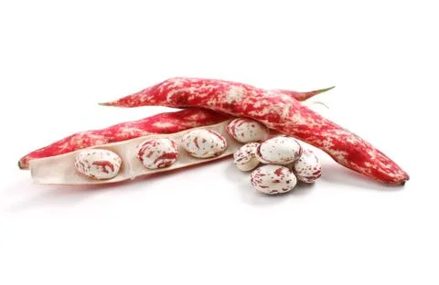 Borlotti beans Stock Photos