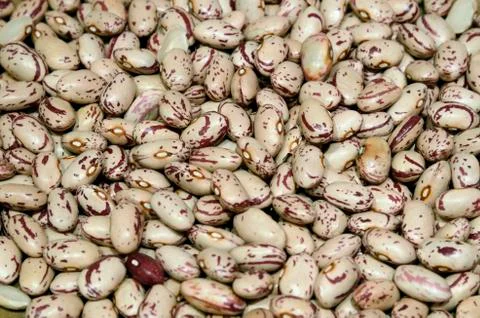 Borlotti Foto stock