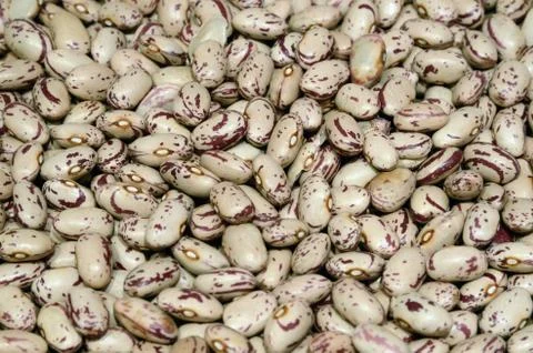 Borlotti Stock-Fotos