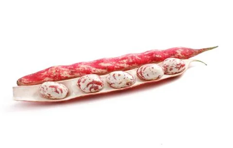 Borlotto bean Stock Photos