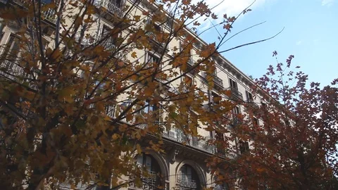 Born Building Video stock 120417762