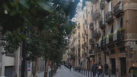 Born street Video stock 120417782