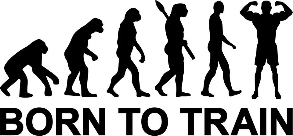 Born to Train Evolution イラスト素材