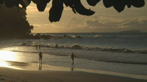Borneo 07 beach Video stock 524321