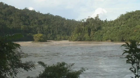 Borneo 09 river Stock Footage 524320