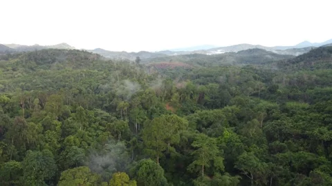 BORNEO 1 Stock Footage 221662829