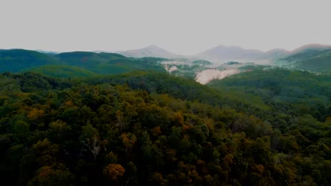 BORNEO FROM ABOVE 2022 Stock Footage 261135268