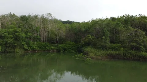 BORNEO DRONE SHOT Stock Footage 247873973