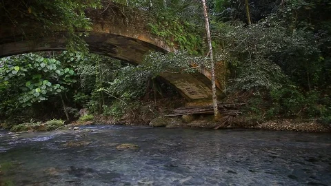 Borneo Stock-Footage 81983449
