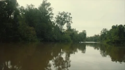 Borneo Forest and river shot from a boat (Indonesia). Stock Footage 64534307