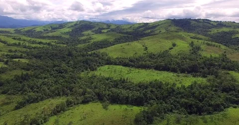 Borneo jungle Stock Footage 85255276