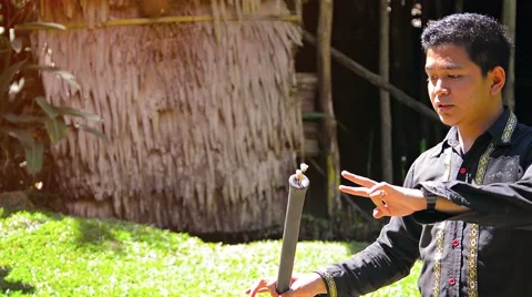 BORNEO, MALAYSIA - CIRCA JAN 2015: Professional tour guide explains the use o Stock Footage 49933461