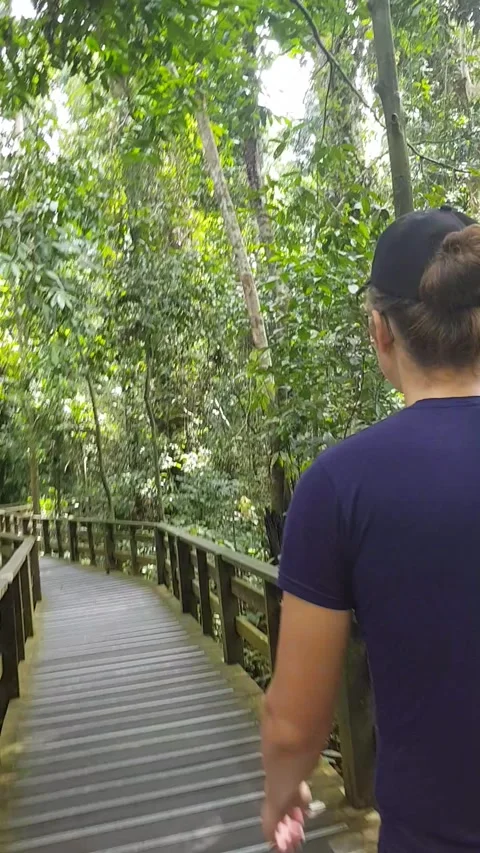 Borneo Rain forest path Stock Footage 165268872