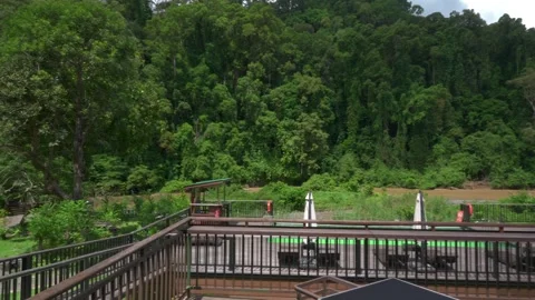 Borneo Rainforest Lodge Poolside Viewing Deck Walk Vídeo Stock 345021626