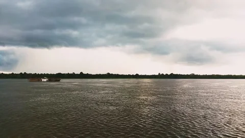 The Borneo River 動画素材 167741205