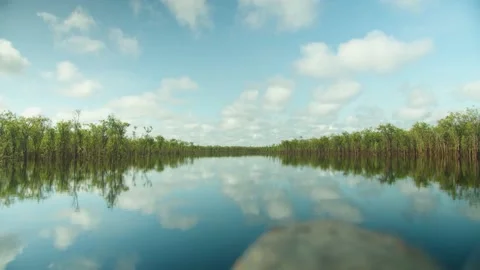 Borneo River Stock Footage 206785015