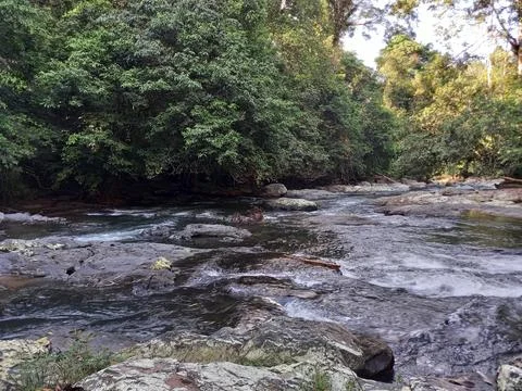 Borneo River Stock Photos