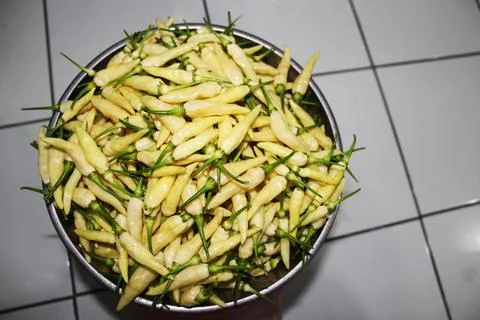 Borneo white pepper Stock Photos