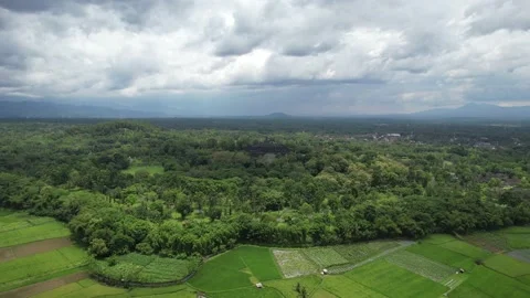 Borobudur Stock Footage 175101907