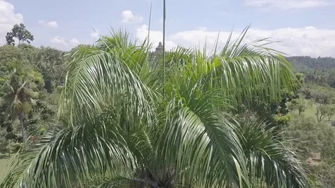 Borobudur Temple, Central Java, Indonesia Stockbeeldmateriaal 129759243