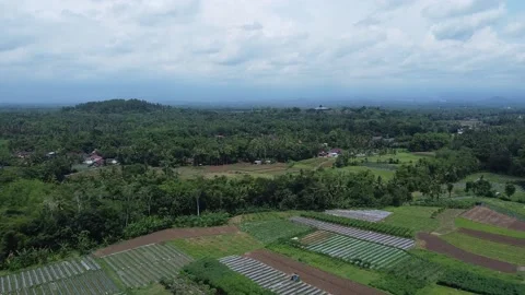 Borobudur Temple Stock Footage 171148242