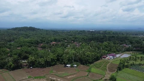 Borobudur Temple Stock Footage 171151203