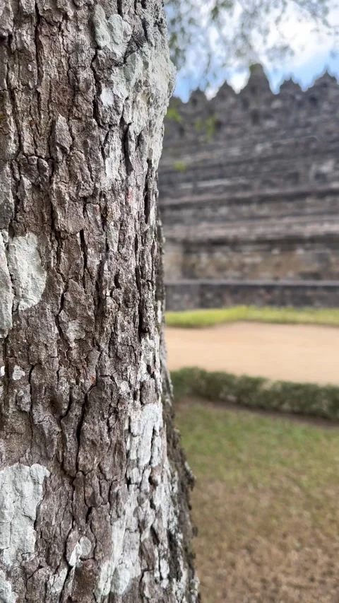 Borobudur temple 動画素材 250168882