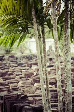 Borobudur temple near yogyakarta on java island, indonesia Stock Photos