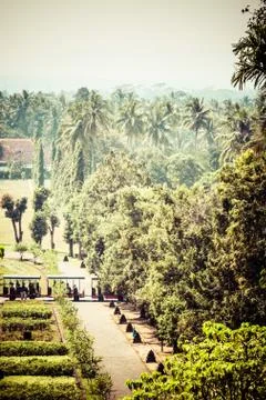 Borobudur temple near yogyakarta on java island, indonesia 스톡 사진