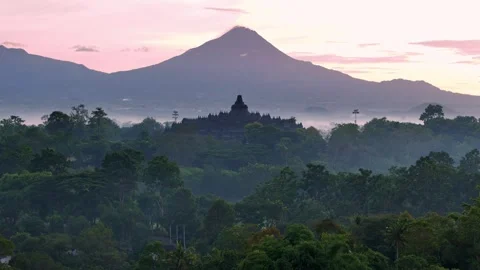 The Borobudur temple surrounded by the jungle. 動画素材 301748900