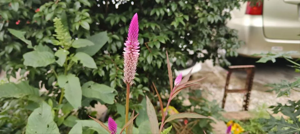 Borocco Stock Photos