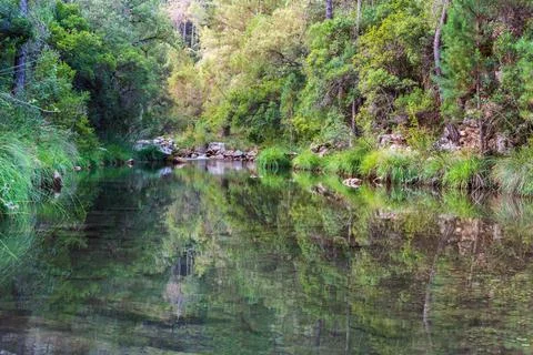 Borosa river between vegetation reflected in its waters, Sierra de Cazorla. Stock Photos