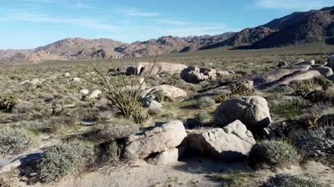 Borrego Desert LOW FPV Stock Footage 239402816