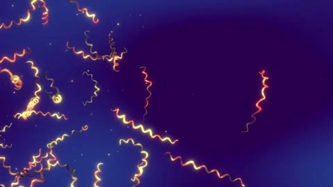 Borrelia recurrentis bacteria Video stock 332492151