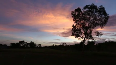 Borroloola lonely tree sunset - Australian Countryside calm place Stock-Footage 79773403