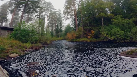 Borrsjoan Stock Footage 264738229