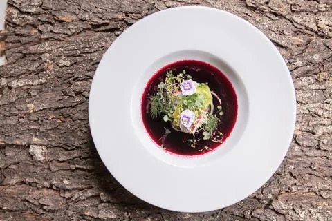 Borscht modern served 스톡 사진